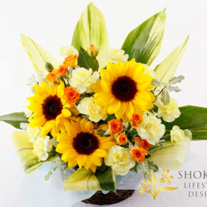 【アレンジ0034】デーシーデリウム（Ｙ）