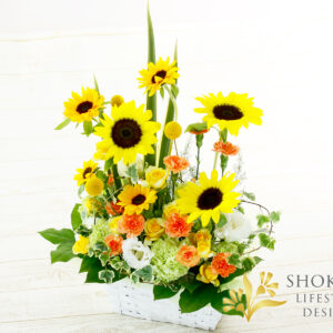 【アレンジ0069】オータムオーラ（Y）