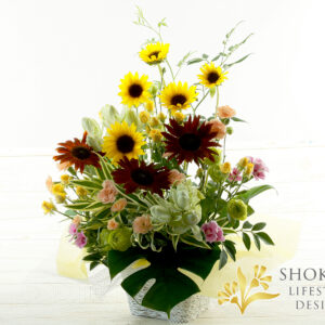 【アレンジ0078】オルビット（Y）