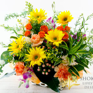 【アレンジ0098】オレンジピール（Y/OR）