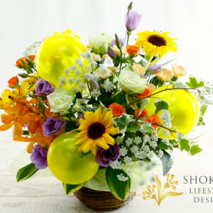 【Bアレンジ】カメリエーラ(Y)商品画像01