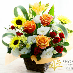 【アレンジ0116】クラシオン（Y/OR）