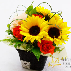 【アレンジ0165】バレンシア（Y/OR）