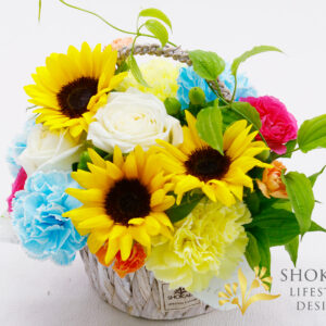 【アレンジ0166】セビリア(Y/BL/W)