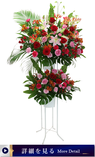 パイプスダンド2段サンプル3