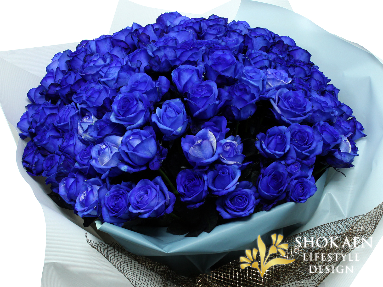 Paul Smith完売 日焼け予防にも 青薔薇 Blue Rose フード - トップス