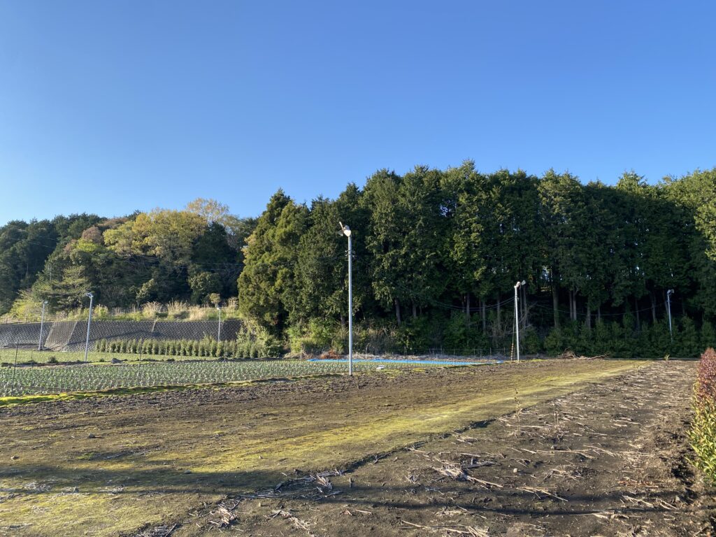 休眠中の畑(かつては茶畑)