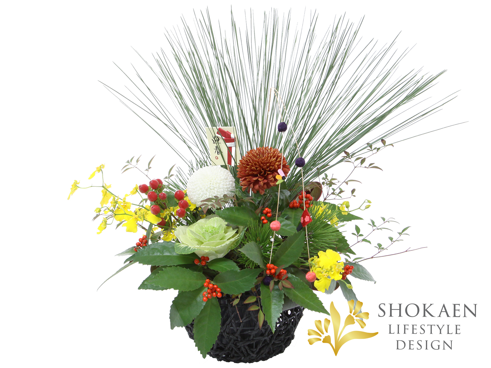 【正月アレンジメント】日華-にっか-