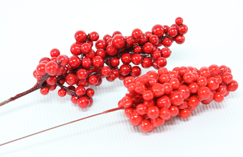 南天の実テスト