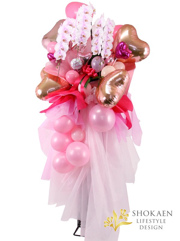 【胡蝶蘭バルーンスタンド花0001】ピンク3本立（BST-PHA03P-001）1