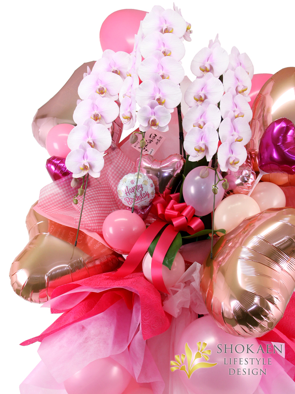 【胡蝶蘭バルーンスタンド花0001】ピンク3本立（BST-PHA03P-001）4