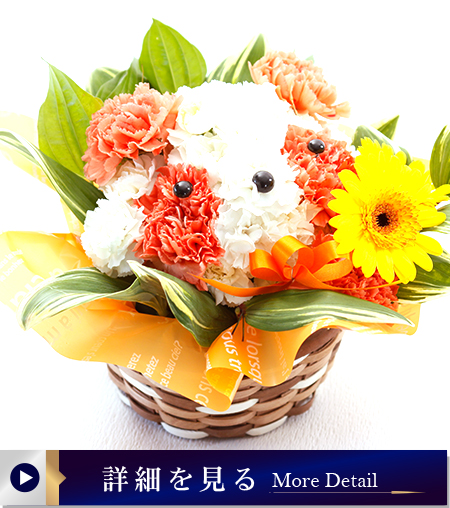 アニマルフラワー5