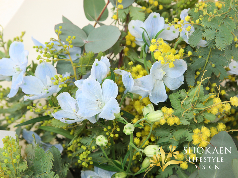 【花束0154】ミモザ・シエル(LB)ー 春の空を束ねてー -4