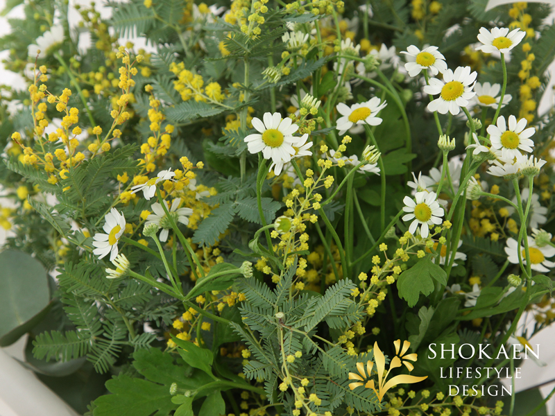 【花束0155】ミモザ・ナチュール(W)ー 野の花の春ー-4