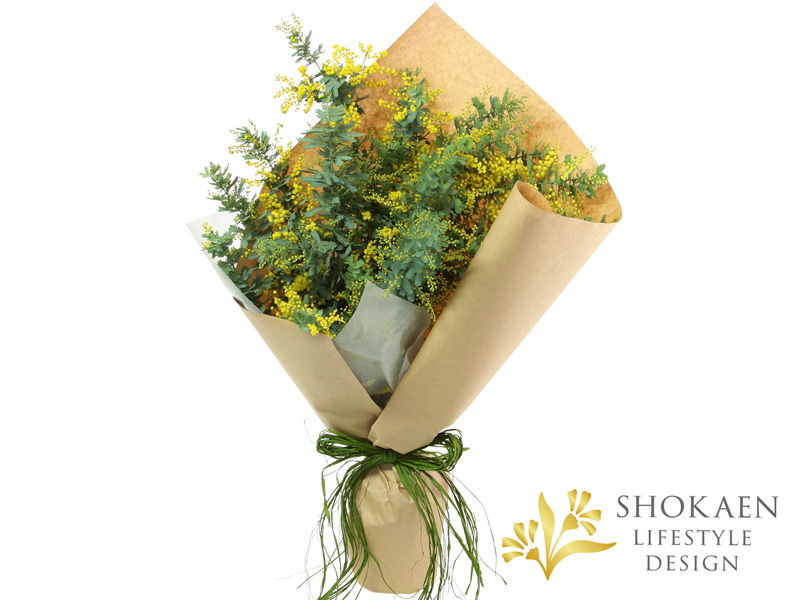 【花束0156】ミモザ・プリマヴェーラ(Y)-1