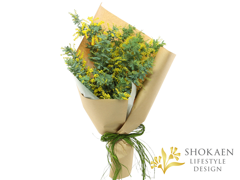 【花束0156】ミモザ・プリマヴェーラ(Y)-2