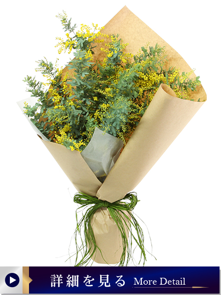 ミモザプリマヴェーラ