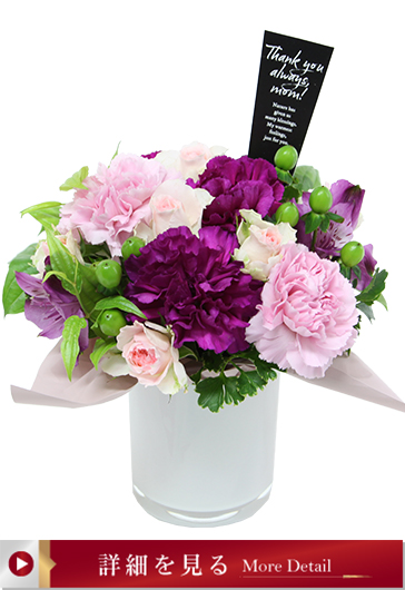 グラティチュード（アメジスト）