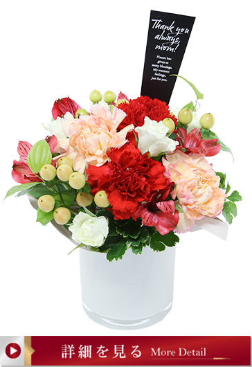 グラティチュード（ルビー）