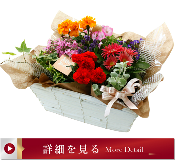 パレットガーデン