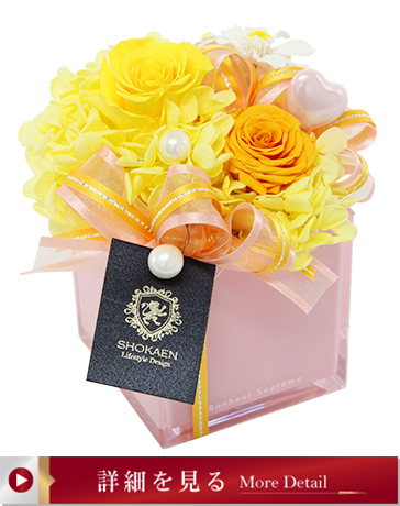 タンドレス（オレンジ）