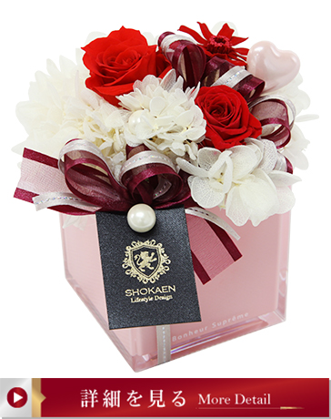 タンドレス（レッド）