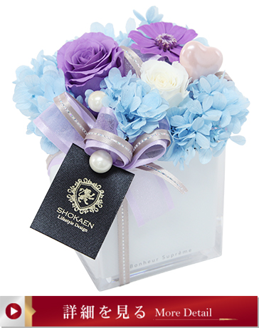 タンドレス（パープル）