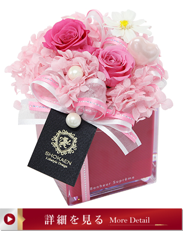 タンドレス（ピンク）