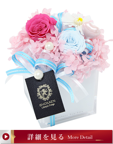 タンドレス（カラフル）