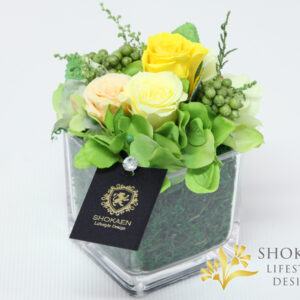 ブリーヴ(YELLOW)
