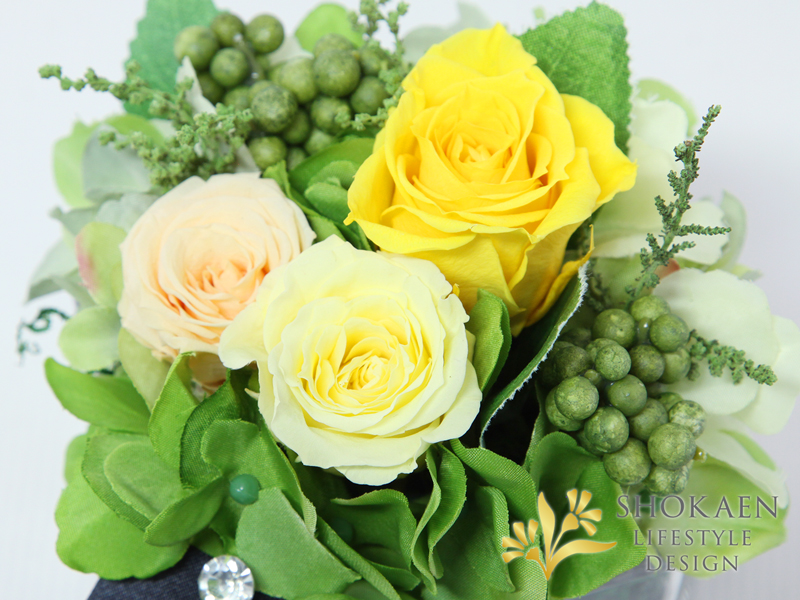 ブリーヴ（YELLOW）
