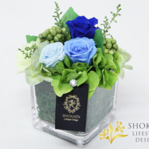 ブリーヴ(BLUE)