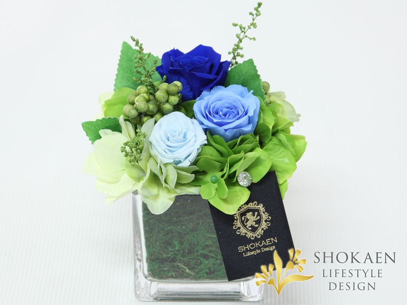 ブリーヴ（BLUE）