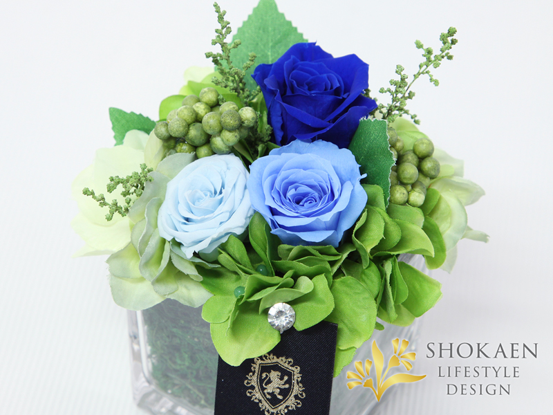 ブリーヴ（BLUE）