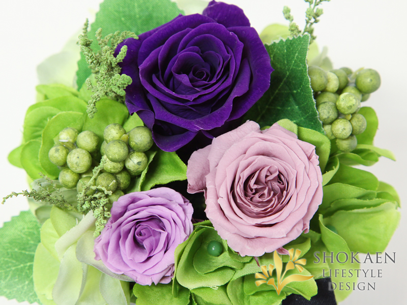 ブリーヴ（PURPLE）