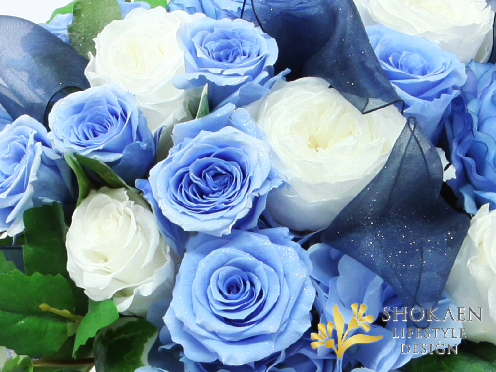 プリザーブド 青バラ 御祝・正花園の青バラと白バラを基調とした爽やかで上品なプリザーブドフラワーアレンジメント「Azur」