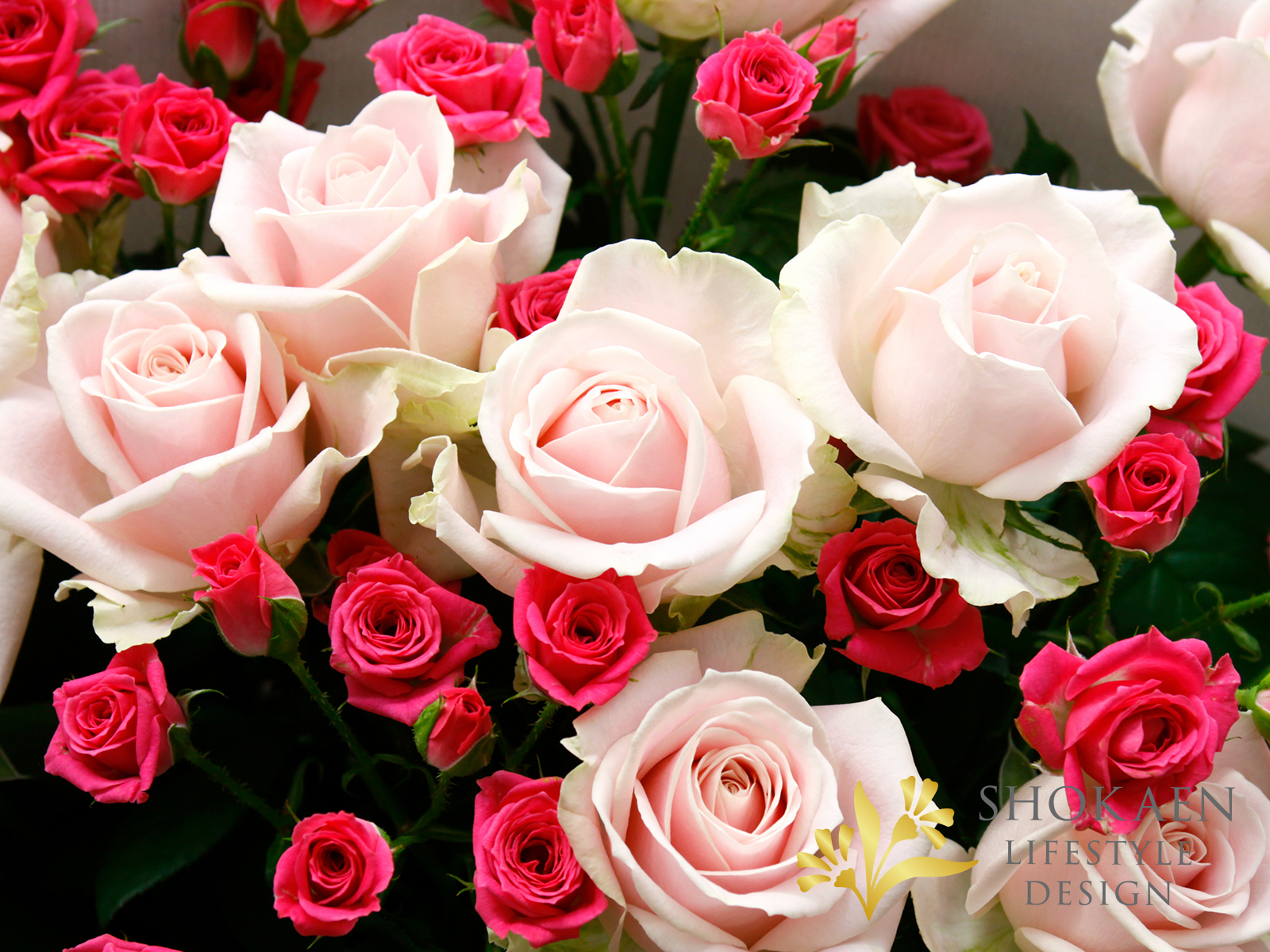 花束0097 ソフィア Lp P 石川県金沢市の花屋 正花園