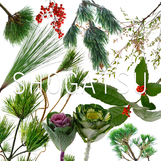 松 千両 お正月を飾る切花 特集 石川県金沢市の花屋 正花園