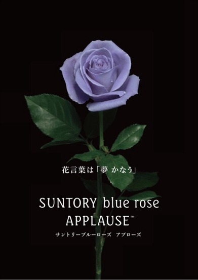 花言葉は「夢かなう」SUNTORY blue rose APPLAUSE