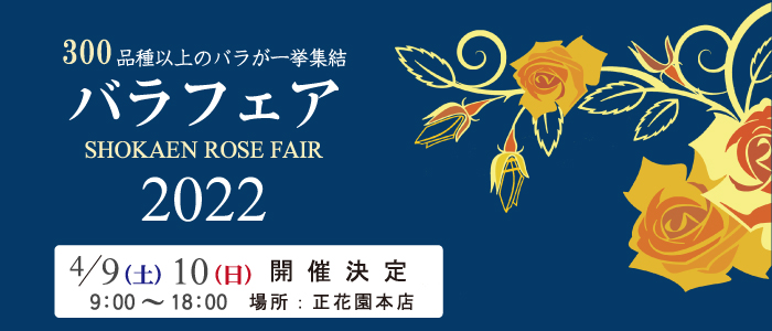 正花園 石川県金沢市に拠点を置く花屋 フラワーショップです 正花園 石川県金沢市に拠点を置く花屋 フラワーショップです