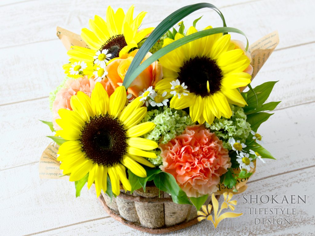 ひまわり特集 石川県金沢市の花屋 正花園