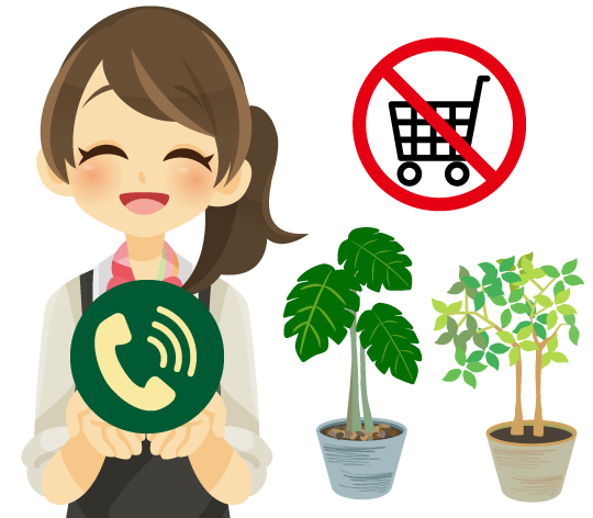 観葉植物のオンラインショッピング購入