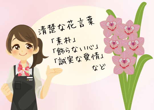 シンビジューム特集 金沢正花園