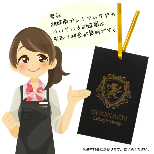 胡蝶蘭引取りサービス(無料の場合)