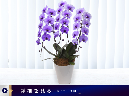 02パープルエレガンス