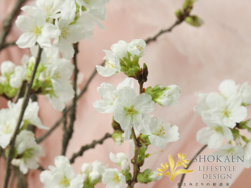 相談02838-4吉野桜の花束